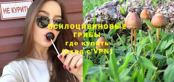 кокс Кинешма