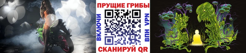 Псилоцибиновые грибы MAGIC MUSHROOMS  ОМГ ОМГ онион  Очёр 